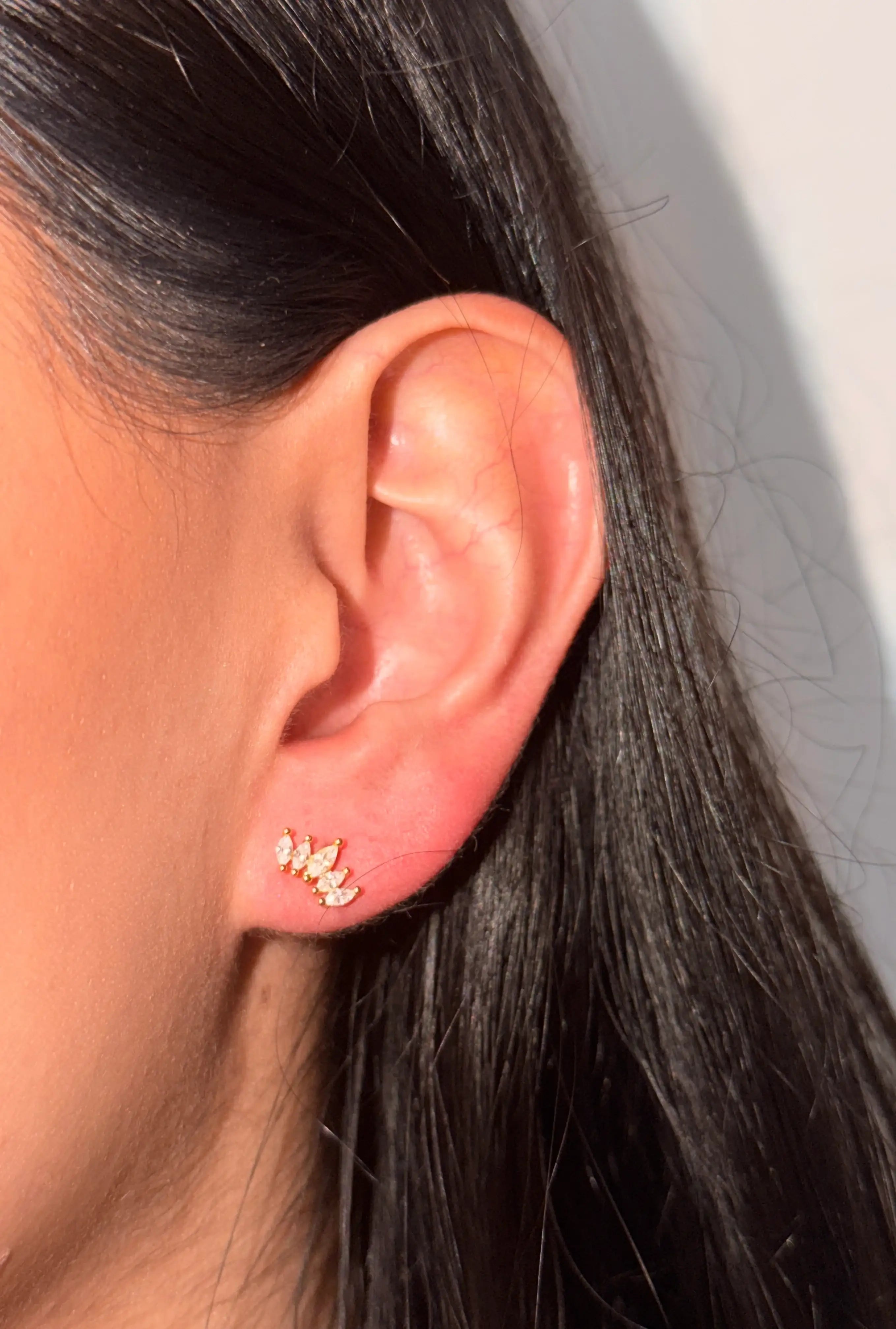 Perforaciones Tiny Collection